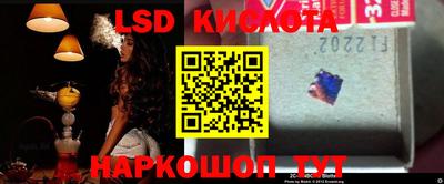 индика Обнинск