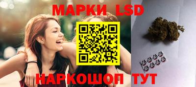 индика Обнинск