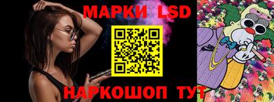 индика Обнинск