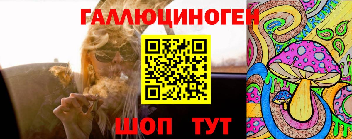 Псилоцибиновые грибы Psilocybe Родники