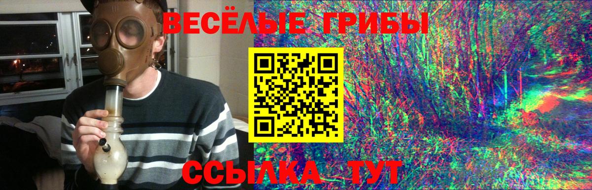 Псилоцибиновые грибы Cubensis  Вход с VPN  Псилоцибиновые грибы Magic Shrooms  Родники 